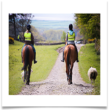 COMMENDED The Sheep That Thinks She's a Horse - Jackie Tucker